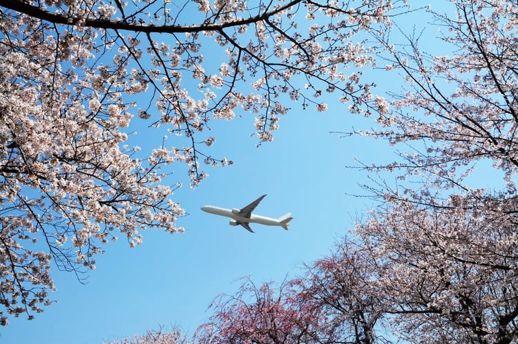 航空貨物輸送の流れについてご紹介！（輸出編）