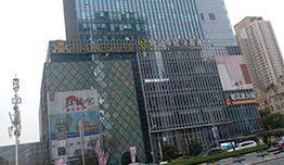 Shanghai Huajia Int'l Freight Forwarding Co., Ltd.